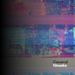 Cameral - Ginosko