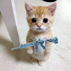 Em Có Nhớ Anh Không