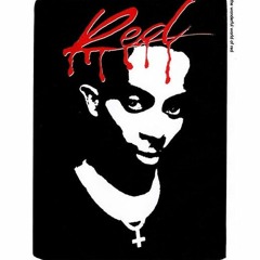 Playboi Carti - Over But The Beat Is Reversed