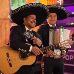 With A Little Help From my Friends -Mariachi el Mexicano Cover