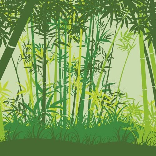 Bamboo Garden