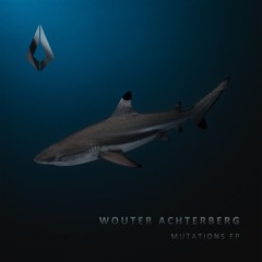 Wouter Achterberg - Mutations