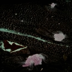 Eternal Bliss - Episode 3