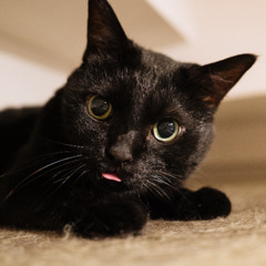 Lesson_14_Practice_01