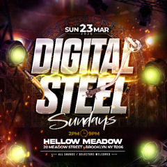 DIGITAL STEEL-(ASYLUM, XLR, SPECTRUM, EARTH RULER,  RUFF CUTT) 3.23.25-(KiLLA)