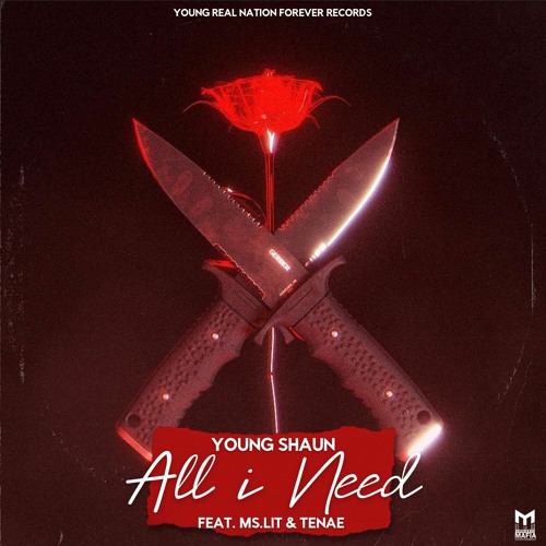 Young Shaun - All I Need (Feat. Ms. Lit & Tenae)
