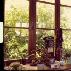 SOUVENIR - boygenius COVER