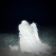 she was a fallen angel, yet she was still perfect