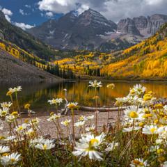 Starwood in Aspen-John Denver (Cover)