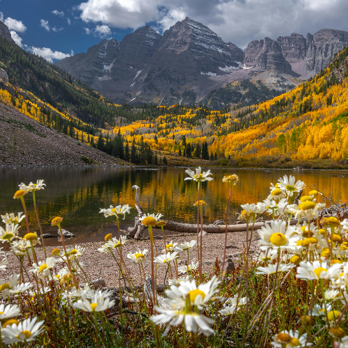 Starwood in Aspen-John Denver (Cover)