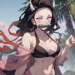 HASHIRA TIM
