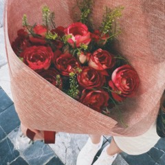 hoa kiều | tiny tình 🌷 (ver tina tình)