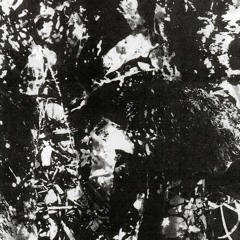 Heraldos Negros - Amydrós (2020)