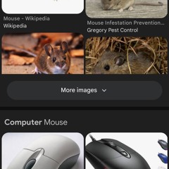 take me to your best friend mouse.mp3