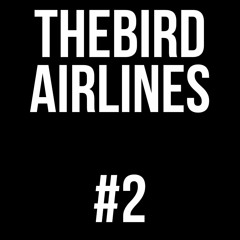 Thebird Airlines #2