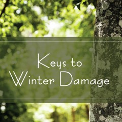 Keys to Winter Damage