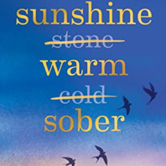 ACCESS EPUB 🗸 Sunshine Warm Sober: The unexpected joy of being sober – forever by  C
