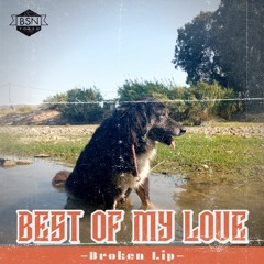 Broken Lip - Best Of My Love
