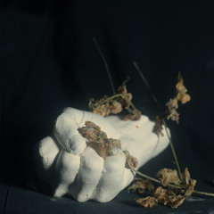 Violent God (feat. Birds in Row & Quentin Sauvé)