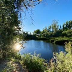 LF - Plantas y árboles del Soto