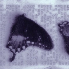 just crush my brains