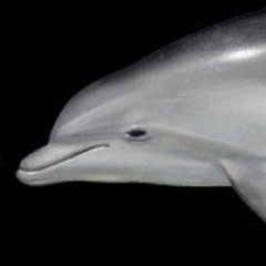 So we were Jenny and Sarah ° The End of the Line