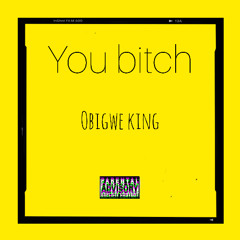 You bitch