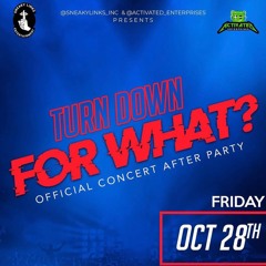 10.28.22 DSU'S Homecoming Party Live Mix Ft. @sneakylinks_inc & @activated_enterprises