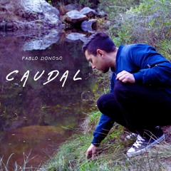 Pablo Donoso- Caudal