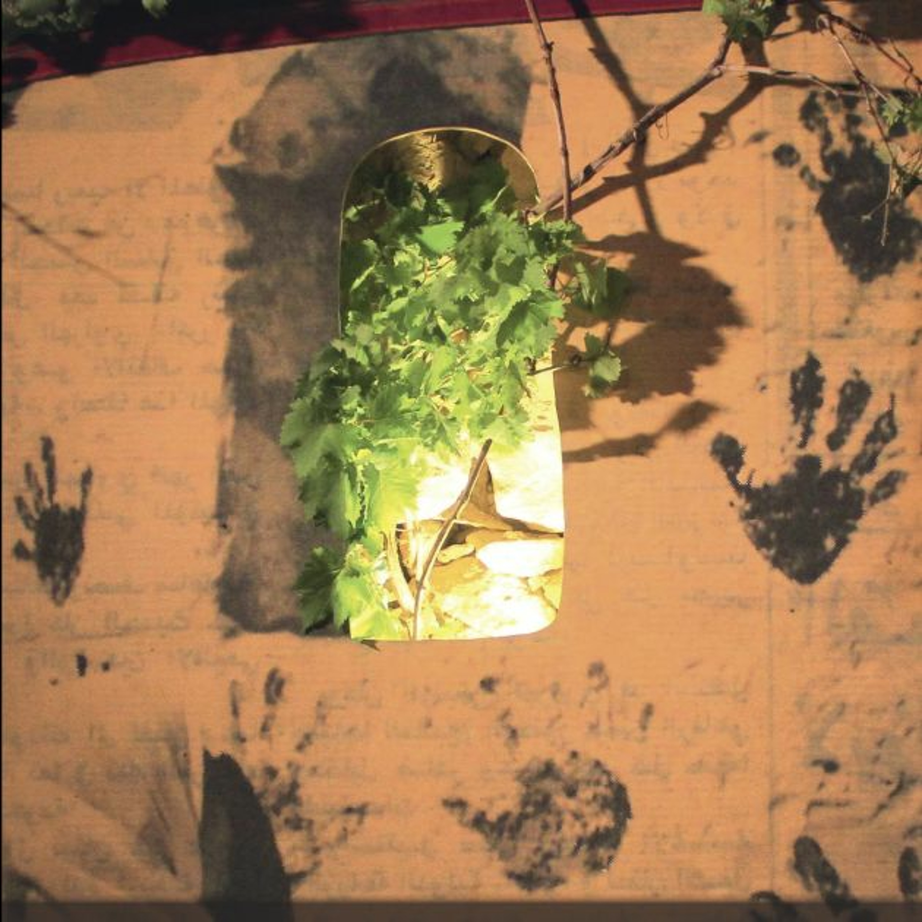 Buried in the Red Dirt: Race, reproduction, and death in modern Palestine I Frances Hasso I Jan 2022 episode artwork