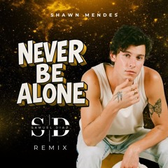 SHAWN MENDES - NEVER BE ALONE - Samuel Díaz