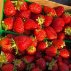 Ecstatic Dance Oakland - Live At Sweets - 10-23-24