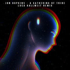 Jon Hopkins - A Gathering Of Tribe (Luca Kallweit Remix)