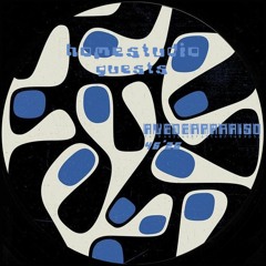 HOMESTUDIO GUESTS: AVEDERPARAISO