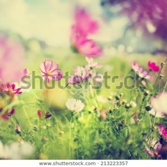 Garden Of No Reality