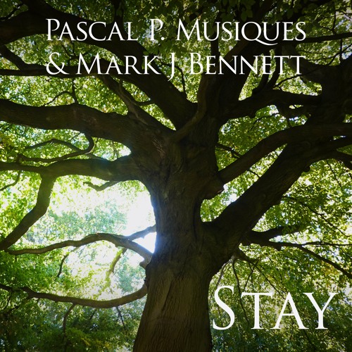 Stay - Pascal P. Musiques/MarkJBennett