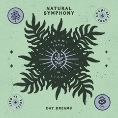 Natural Symphony - Day Dreams