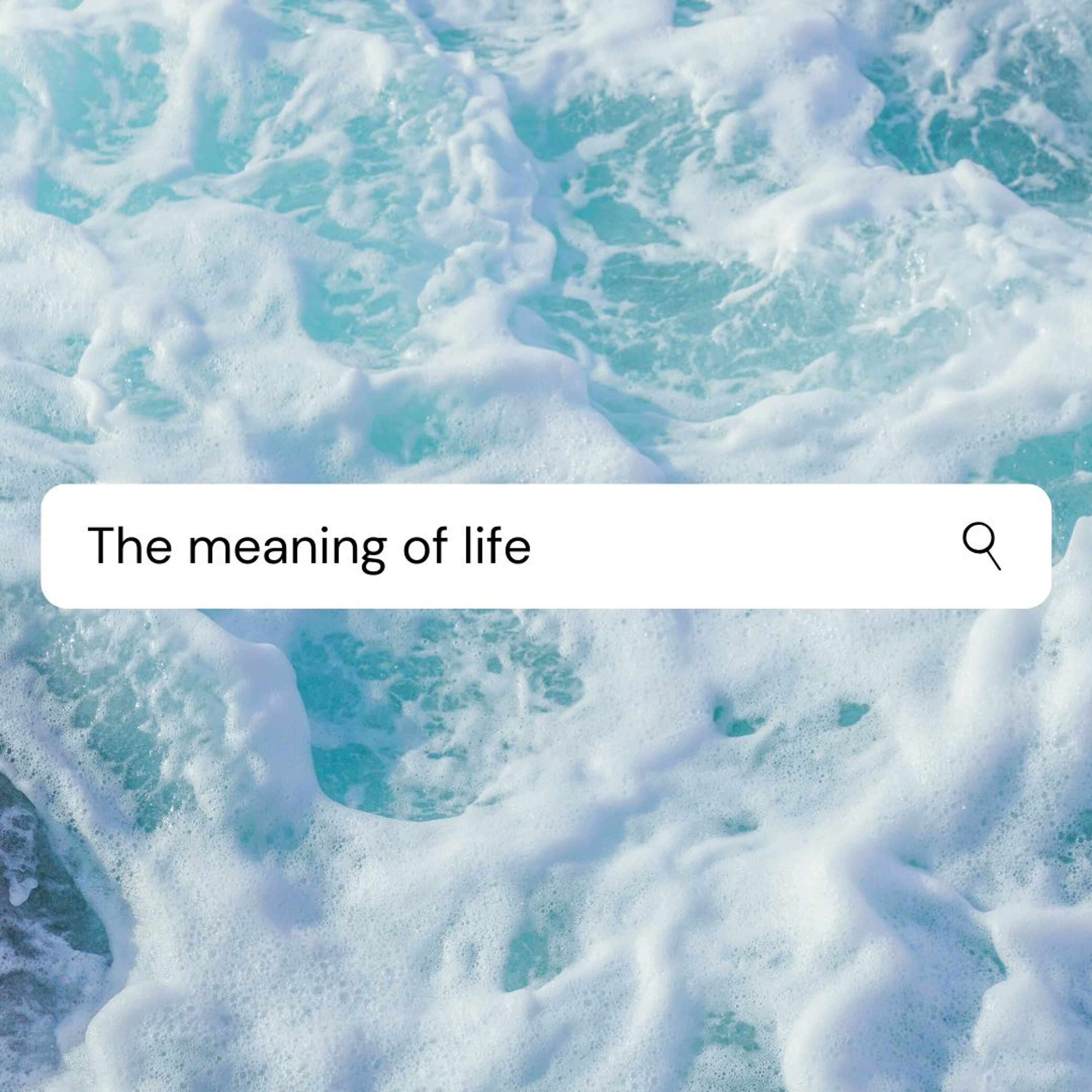 The Meaning of Life - David A + Shady G episode artwork