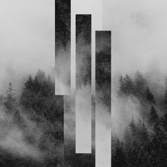 Project_219