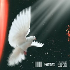 TRUE, MURAY - DEIXA FALAREM