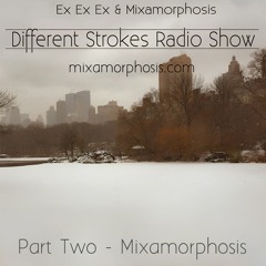 Different Strokes - Show 6 - Part 2 - Mixamorphosis