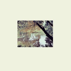 Cedres | Sheltered Under Oak - RHYO004D