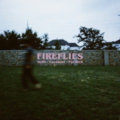 fireflies w/ vedh & fiji rich