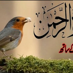Surah Rahman With Urdu Translation Full   Qari Al Sheikh Abdul Basit Abdul Samad