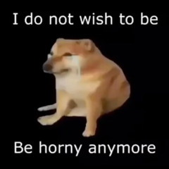 I do not wish to be horny anymore