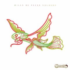 Miles De Peces Volando, rola 8, toma 1. (Alternative version)