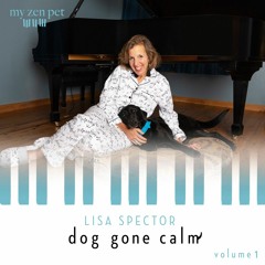 Vivaldi: The Four Seasons, Concerto Winter II. Largo In E Flat Major [Arr. Lisa Spector]