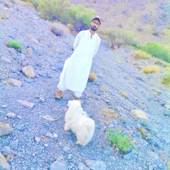 Farsii song