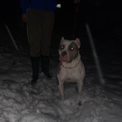 LAYLASLATER[MC INNES]~MASHUP