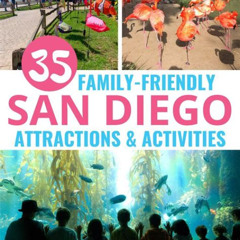 Best Things To Do In San Diego Kids Tours Review